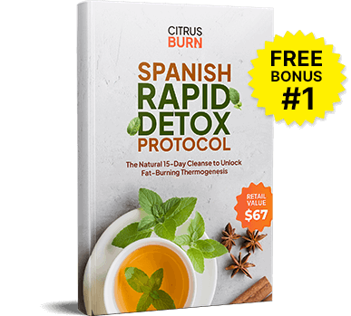 Spanish Rapid Detox Protocol bonus ebook cover